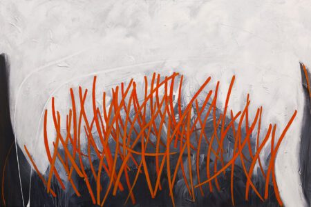 after-the-fire-storm