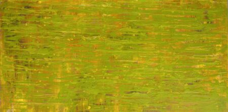 grapevines_of_dentelles