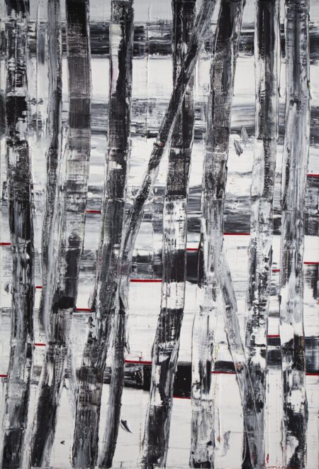 silhouette of winter forest