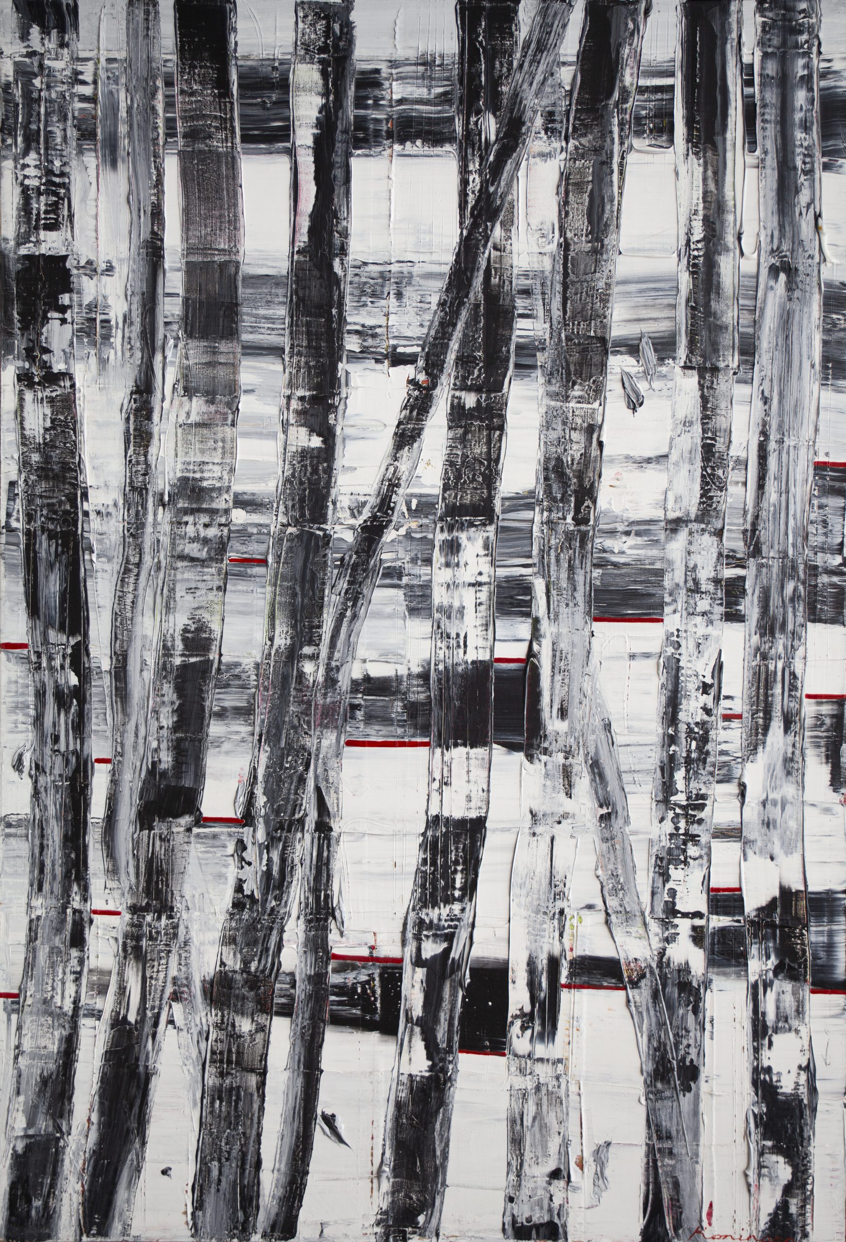 silhouette of winter forest